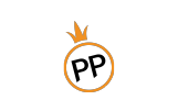 PP电子.png