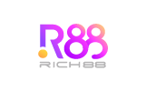 AGAPI合作厂商RICH88电子.png